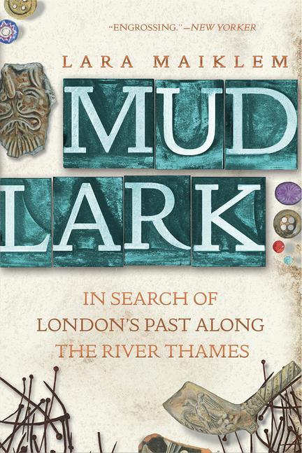 Kniha Mudlark - In Search of London`s Past Along the River Thames 