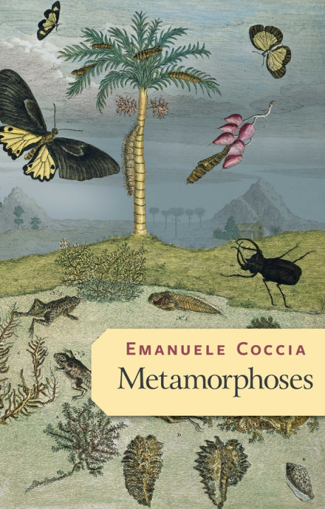 Könyv Metamorphoses Emanuele Coccia