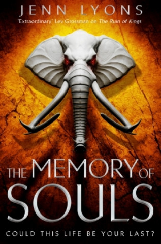 Kniha Memory of Souls Jenn Lyons