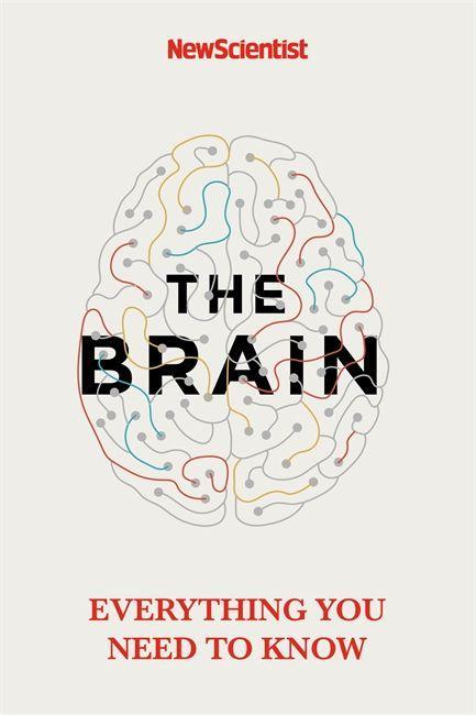 Book Brain New Scientist