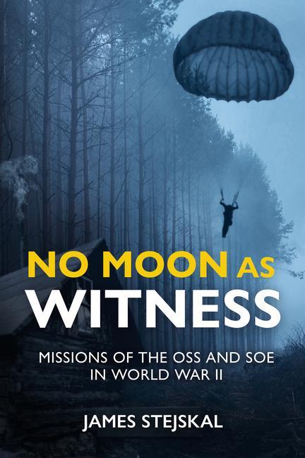 Kniha No Moon as Witness 