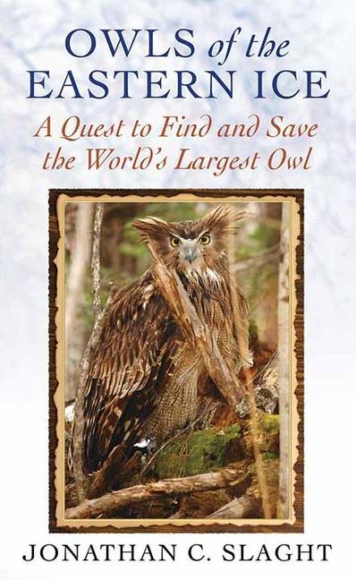 Carte Owls of the Eastern Ice 