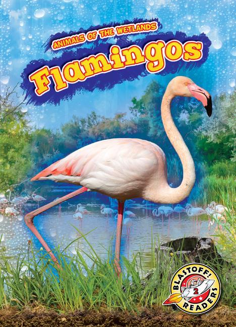 Knjiga Flamingos Karen Kenney