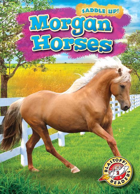 Book Morgan Horses 