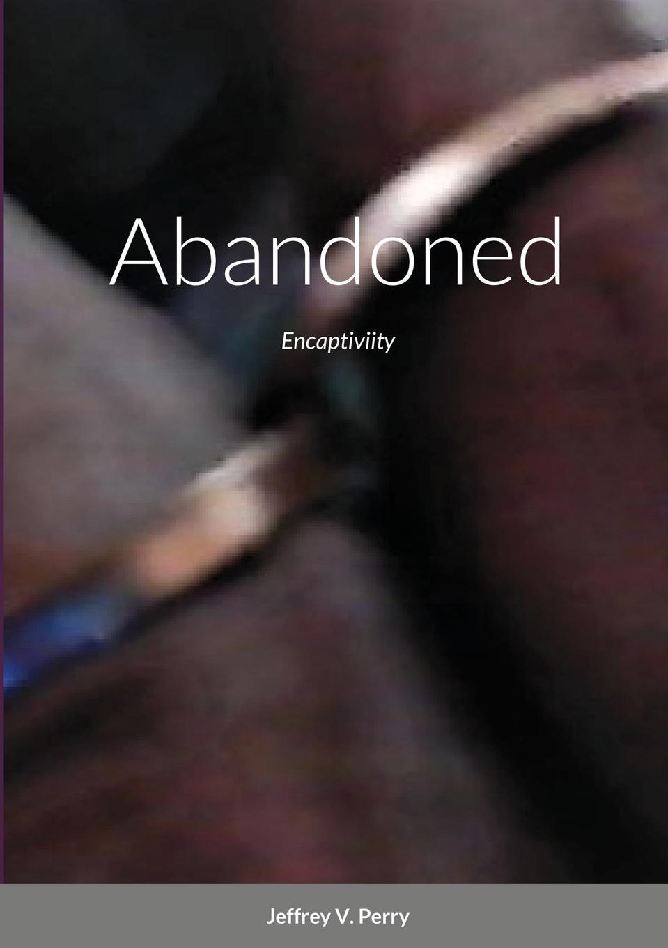 Book Abandoned Jeffrey V. Perry