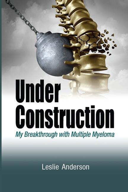 Kniha Under Construction Leslie Anderson