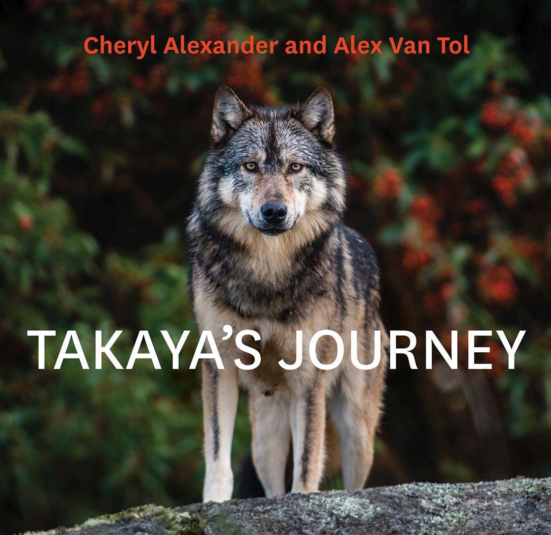 Книга Takaya's Journey 