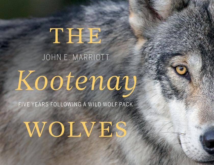 Knjiga Kootenay Wolves 