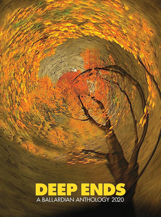 Book Deep Ends Rick McGrath