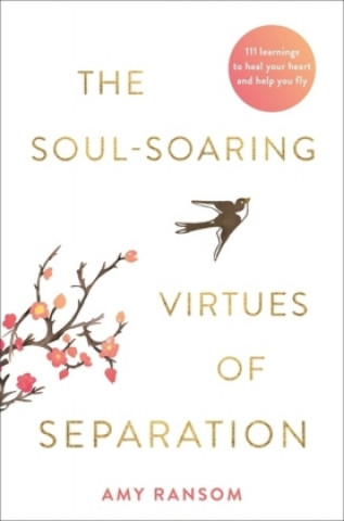 Libro Soul-Soaring Virtues of Separation Amy Ransom