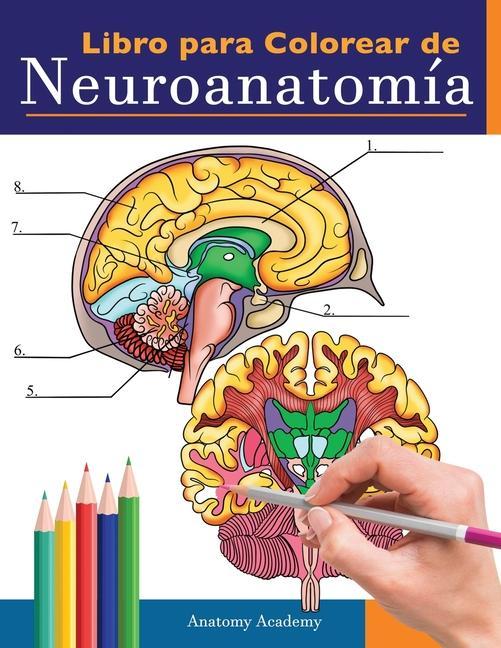 Könyv Libro para colorear de neuroanatomia 