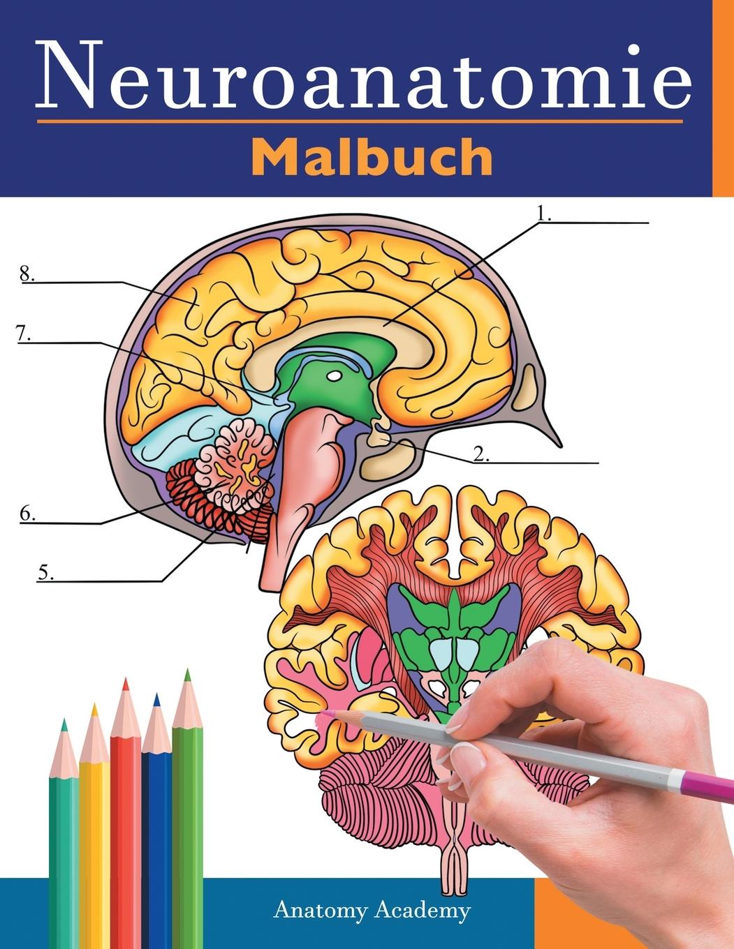Book Neuroanatomie Malbuch ANATOMY ACADEMY