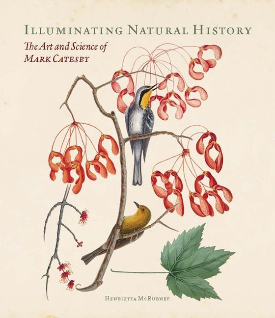 Könyv Illuminating Natural History - The Art and Science of Mark Catesby 