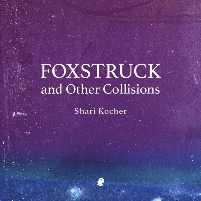 Knjiga Foxstruck Shari Kocher