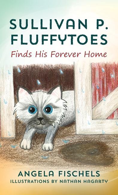 Knjiga Sullivan P. Fluffytoes Finds His Forever Home Nathan Hagarty