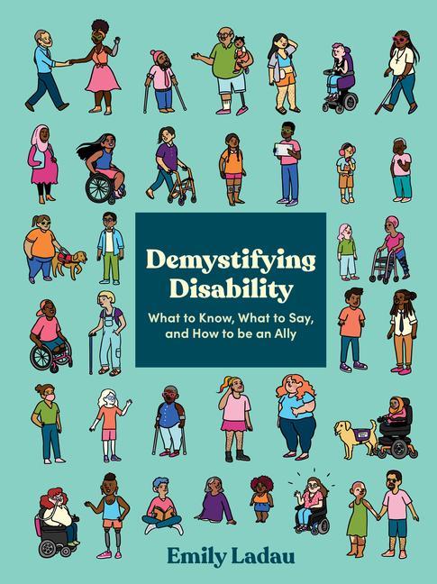 Kniha Demystifying Disability 
