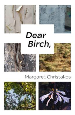 Knjiga Dear Birch Margaret Christakos