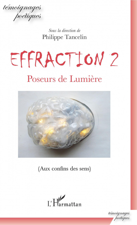 Knjiga Effraction 2 Philippe Tancelin
