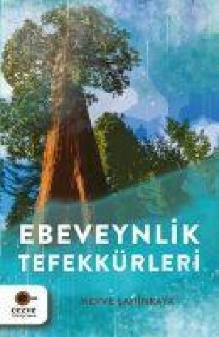 Книга Ebeveynlik Tefekkürleri 