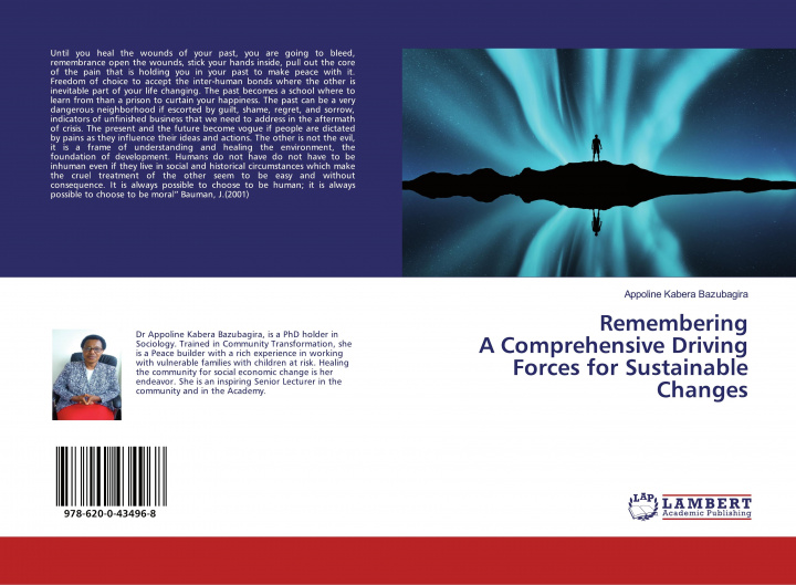 Knjiga Remembering A Comprehensive Driving Forces for Sustainable Changes APPOLINE BAZUBAGIRA