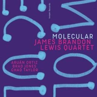Audio  Molecular James Brandon Lewis Quartet