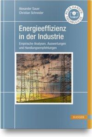 Carte Energieeffizienz in der Industrie Christian Schneider