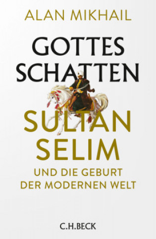 Boek Gottes Schatten Helmut Dierlamm