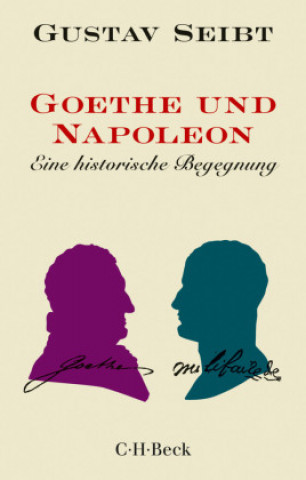 Boek Goethe und Napoleon Gustav Seibt