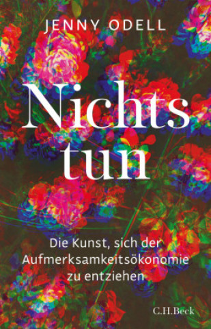 Book Nichts tun Annabel Zettel