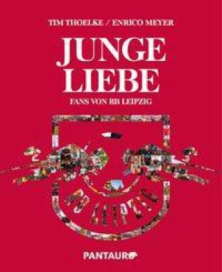 Kniha Junge Liebe Enrico Meyer
