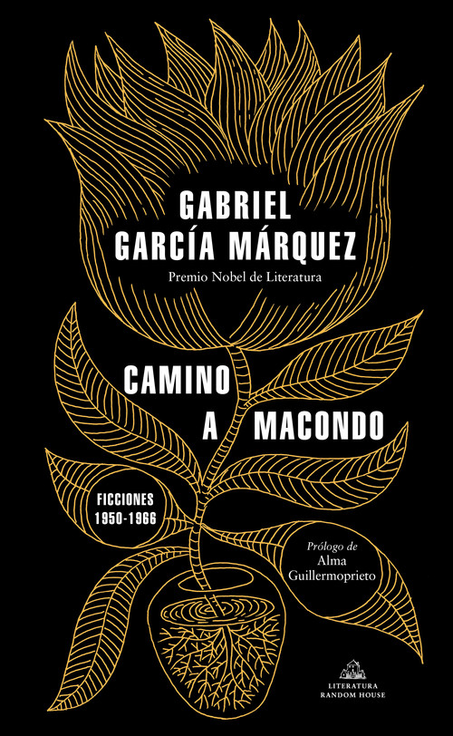 Kniha Camino a Macondo / The Road to Macondo 
