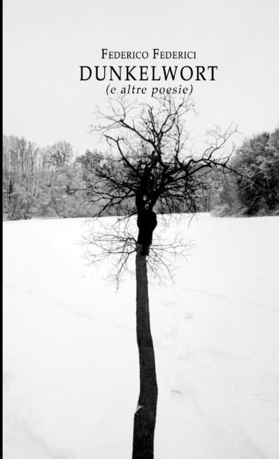 Книга Dunkelwort (e altre poesie) Federico Federici
