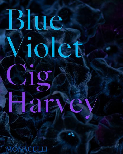 Kniha Blue Violet 