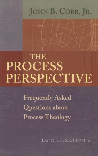 Knjiga Process Perspective Jeanyne B. Slettom