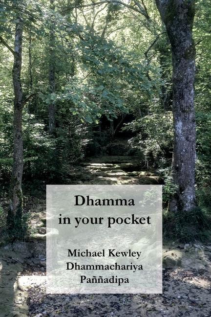 Libro Dhamma in your pocket Michael Kewley