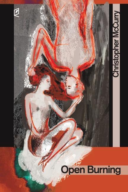 Βιβλίο Open Burning Christopher McCurry