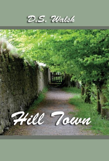 Knjiga Hill Town D. S. Walsh