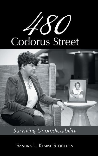 Kniha 480 Codorus Street 