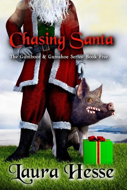 Book Chasing Santa Laura Hesse