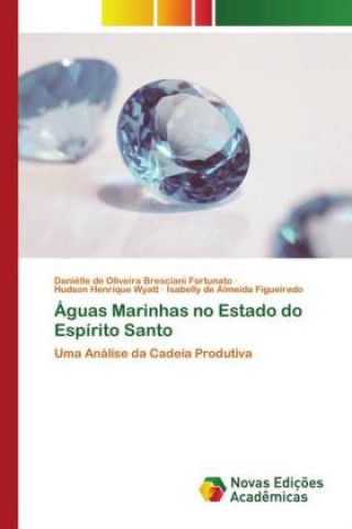 Knjiga Aguas Marinhas no Estado do Espirito Santo Hudson Henrique Wyatt
