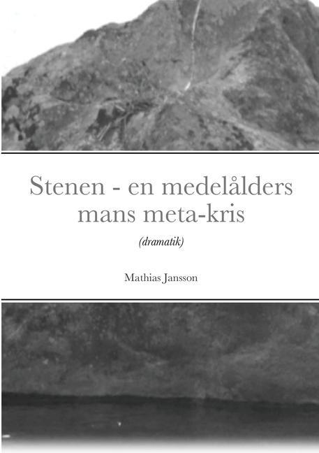 Könyv Stenen - en medelalders mans meta-kris 