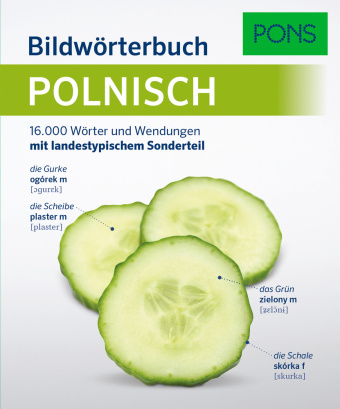 Book PONS Bildwörterbuch Polnisch 
