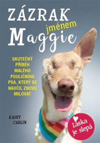 Book Zázrak jménem Maggie Kasey Carlin