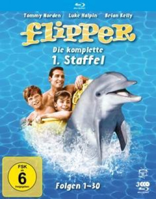 Video Flipper - Die komplette 1. Staffel (3 Blu-rays) Stan Gilbert