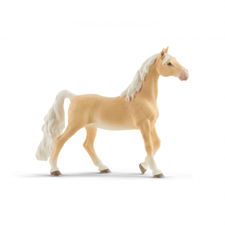 Книга Koń Saddlebred klacz SLH13912 