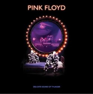 Аудио Delicate Sound of Thunder Pink Floyd