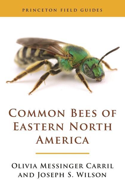 Książka Common Bees of Eastern North America Joseph S. Wilson