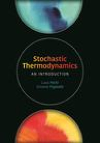 Kniha Stochastic Thermodynamics Luca Peliti