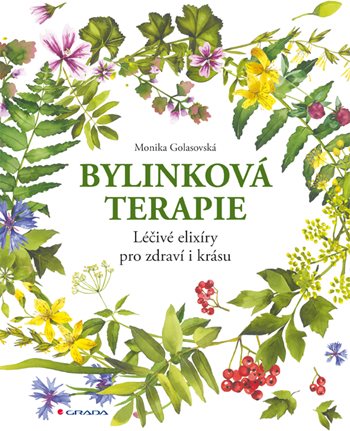 Book Bylinková terapie Monika Golasovská