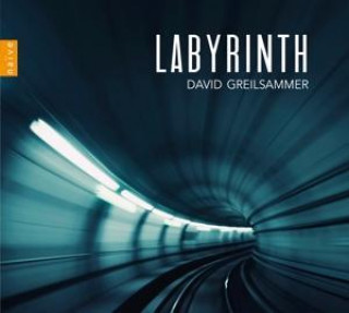 Zvok Labyrinth 